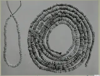 Pale disc beads: a short necklace with wire ends at left, and a coiled multi-strand bead set at right, from Amathus