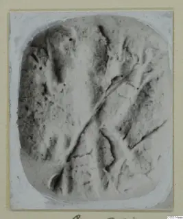 Seal from Amathus with incised diagonal lines, shown in a close photograph mounted on a card with a white border.