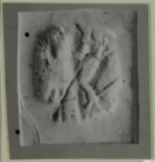Seal from Amathus showing a raised pattern of crossing diagonal lines, curved strokes and small dots.