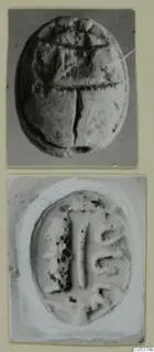 Scarab seal from Amathus shown from its back and as a pale impression of its flat base, both photographs mounted on one card.