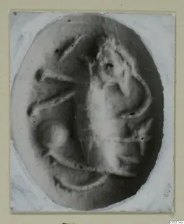 Oval object with a raised design, from Amathus, shown enlarged on a card mount