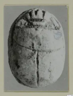 Oval scarab with a notched head at the top and a cross-shaped pattern of incised lines on its back