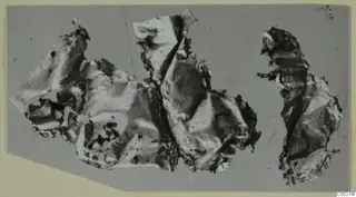 Three crumpled, thin sheet fragments from Amathus lying side by side