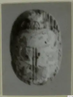 Blurred photograph of an oval stone scarab from Amathus, with faint markings and a central vertical line.
