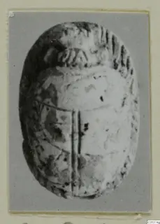 Stone scarab from Amathus, seen from above, with ridged segments and a central groove.