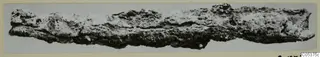 Corroded iron tool from Amathus, a long fragment lying horizontally across a pale card mount.