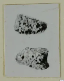 Two mottled fragments of alabaster vessels from Amathus, shown on a mounted card