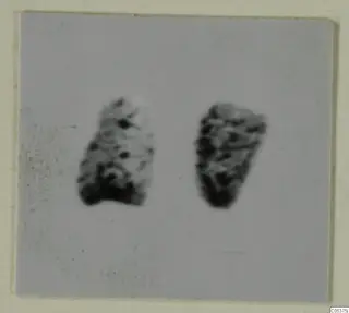 Two alabaster vase fragments from Amathus, photographed on a pale grey ground.