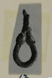 Corroded metal loop with a tapering tail, photographed on a grey card mount