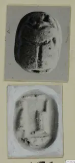 Two photographs of a scarab seal: the back of the beetle form above, and its flat base with an incised pattern below.