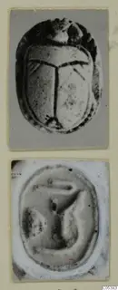 Two views of a scarab seal from Amathus: the domed back with wing cases above, and a flat carved face below