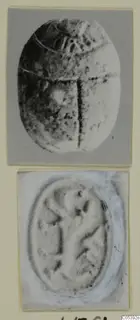 Scarab seal from Amathus, its back in a photograph and its engraved base as an impression, on a photo mount