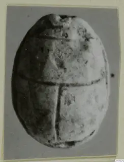 Scarab seal from Amathus T. 2-26, back view with divided wing cases