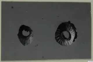 Two ring-shaped gold objects with ridged outer surfaces, photographed from Marion