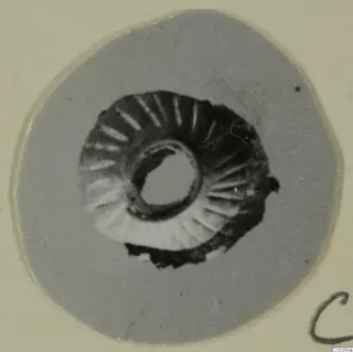 Small ring-shaped gold object with radiating grooves around its central hole, shown on a grey round card