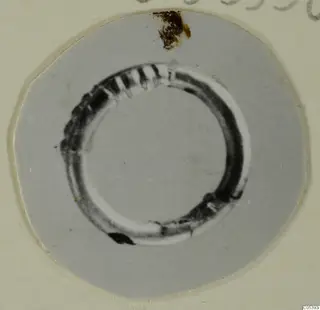 Ring with small notches along its upper edge, photographed on a round grey card, from Marion.