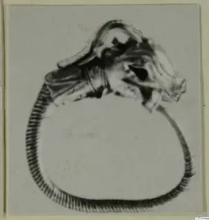 Figure on a ribbed ring-shaped object from Marion, shown against a plain light background