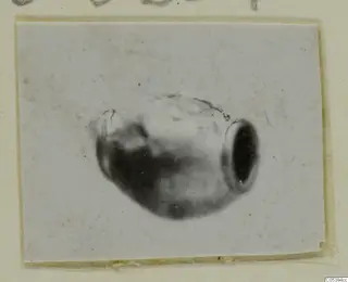 Blurred photograph of a barrel-shaped bead from Marion, mounted on a pale card.
