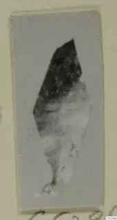 Blurred photograph of an elongated fragmentary object from Marion Tomb 9, mounted on a pale card