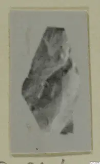 Blurred photograph of a small fragmentary object from Marion Tomb 9, mounted on a card.