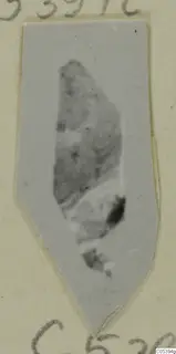 Small irregular fragment from Marion Tomb 9, mounted on a grey card