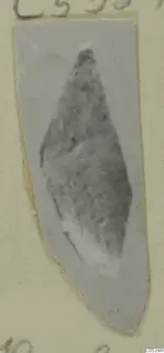 Small leaf-shaped object from Marion Tomb 9, shown as a mounted print