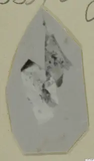 Blurred photograph of fragments from Marion Tomb 9, mounted on a pale card with handwritten notes