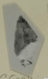 Mounted photo of a small, dark, blurred find from Marion Tomb 9