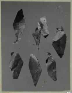Seven angular fragments of a thin, flaky object laid out on a plain grey background, from Marion Tomb 9