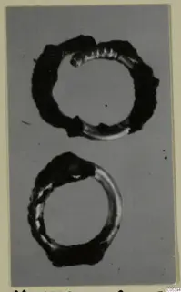 Two corroded bronze hair-rings from Marion Tomb 38, shown on a grey backdrop