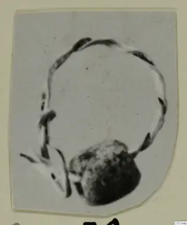 Blurred photograph of a thin wire loop with a dark bead-like object, from Marion, Tomb 9