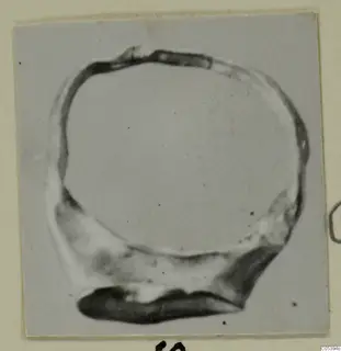 Ring from Tomb 9 at Marion, seen against a pale grey background