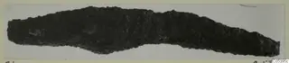 Corroded iron tool from Amathus, long and tapering, with a rough crusted surface.