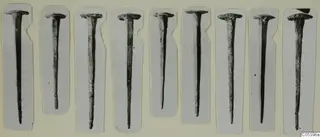 Row of corroded metal nails from Marion, each mounted on a white card strip.