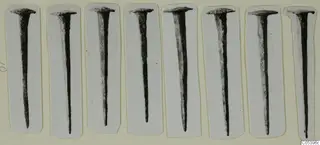 Eight corroded nails from Marion, each with a flat head, mounted on separate white paper strips.