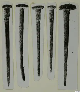 Five iron nails, each mounted on its own white card strip, shown with their heads uppermost.
