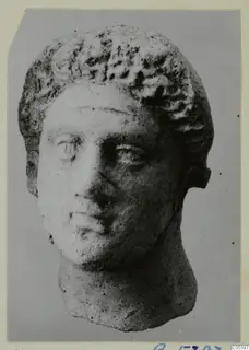 Head of a figure with short curled hair, broken off at the neck, photographed against a plain grey backdrop