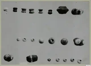 Jewellery and beads from Marion Tomb 9, laid out in three rows on a pale background