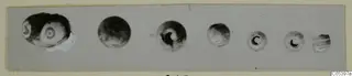 Row of seven beads from Marion Tomb 9, the largest at left with concentric rings like an eye.