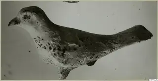 Terracotta figurine of a bird in side view, head to the left and a long tapering tail to the right, worn surface