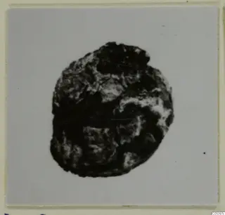 Corroded bronze nail-head from Marion, shown centred on a pale grey card