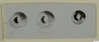 Three small round beads from Marion, Tomb 9, shown on a pale background