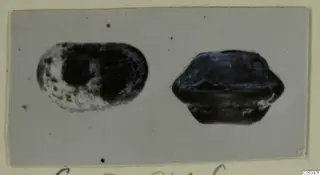 Two small dark objects photographed on a card, one oval and one with a stepped, faceted profile, from Marion, Tomb 9