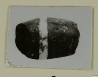 Small dark bead with a pale central band, from Marion Tomb 9, shown as a mounted print