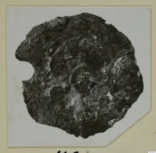 Corroded, irregular disc-shaped object from Marion, with a small rounded bump near its centre.