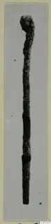 Corroded metal pin with a swollen head, shown upright on a mounted photographic card