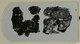 Corroded silver jewellery fragments from Marion, shown on a pale card mount