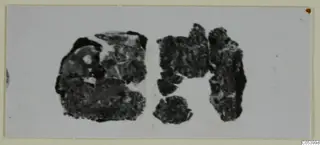 Corroded metal fragments from Marion, recorded as gold and silver jewellery
