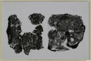 Several dark, corroded fragments from Marion, spread across a pale background.