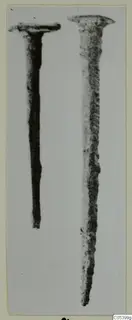 Two metal nails from Marion, shown upright side by side on a pale background.